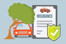 Auto insurance coverage for falling tree Car insurance policy and car with tree falling on roof with broken windshield flat concept