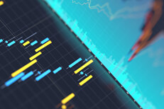 Stock price area chart and candlestick chart Screen showing stock price area chart and price candlestick chart
