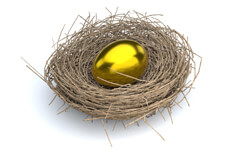 Nest with large golden egg Bird nest with large metallic gold egg concept for retirement nest egg or income